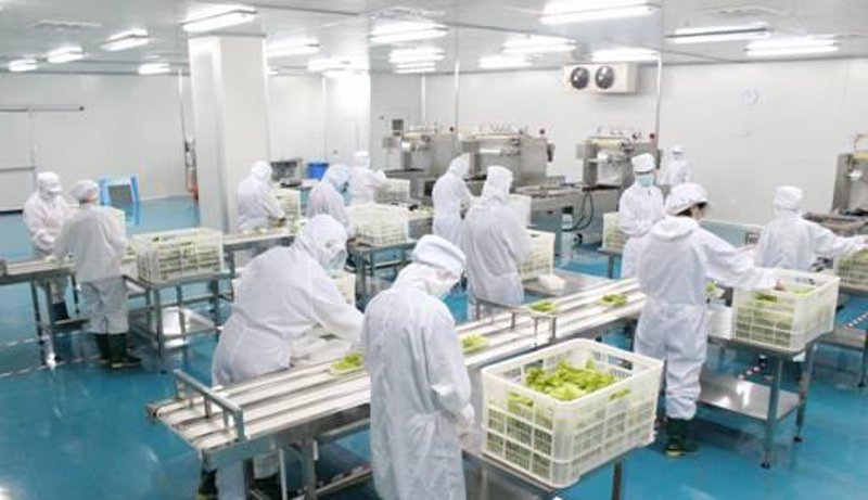 团餐配送需要哪些资质？这不仅是商家合法经营的保障，也是确保食品安全的关键。